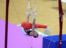 Bakıda idman gimnastikası üzrə Dünya Kubokunda ilk qaliblərin mükafatlandırma mərasimi keçirilib. Azərbaycan, 21 fevral, 2016